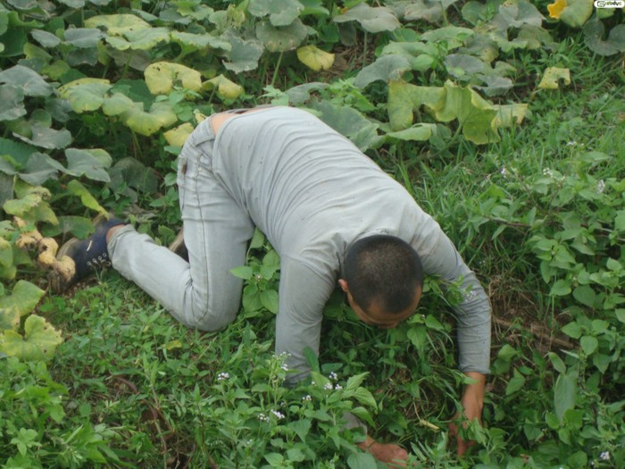 Bằng mọi giá không cho chú nào thoát.